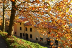 autumn in San Cassiano