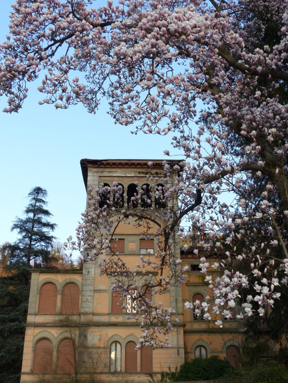 magnolias Villa Fiori